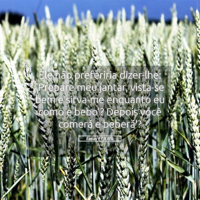 Picture 05 - Lucas 17:8 BSL - Ele não preferiria dizer-lhe: 'Prepare meu - Bible Verse Picture