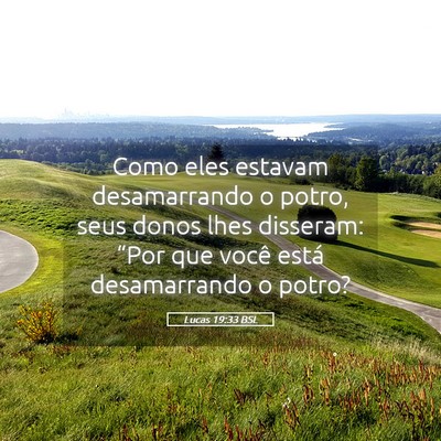 Picture 05 - Lucas 19:33 BSL - Como eles estavam desamarrando o potro, seus - Bible Verse Picture