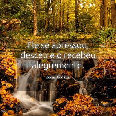 Picture 05 - Lucas 19:6 BSL - Ele se apressou, desceu e o recebeu - Bible Verse Picture