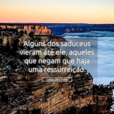 Picture 05 - Lucas 20:27 BSL - Alguns dos saduceus vieram até ele, aqueles que - Bible Verse Picture