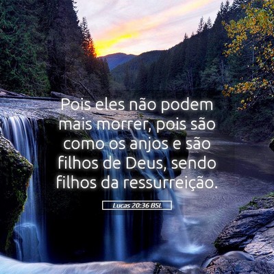 Picture 05 - Lucas 20:36 BSL - Pois eles não podem mais morrer, pois são como - Bible Verse Picture
