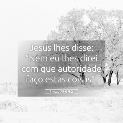 Picture 05 - Lucas 20:8 BSL - Jesus lhes disse: “Nem eu lhes direi com que - Bible Verse Picture