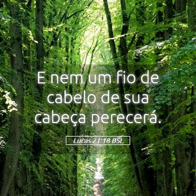 Picture 05 - Lucas 21:18 BSL - E nem um fio de cabelo de sua cabeça - Bible Verse Picture