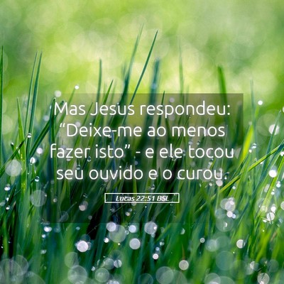Picture 05 - Lucas 22:51 BSL - Mas Jesus respondeu: “Deixe-me ao menos fazer - Bible Verse Picture