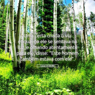 Picture 05 - Lucas 22:56 BSL - Uma certa criada o viu enquanto ele se sentava na - Bible Verse Picture