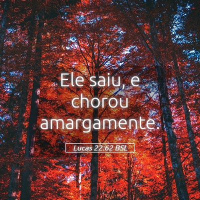 Picture 05 - Lucas 22:62 BSL - Ele saiu, e chorou - Bible Verse Picture
