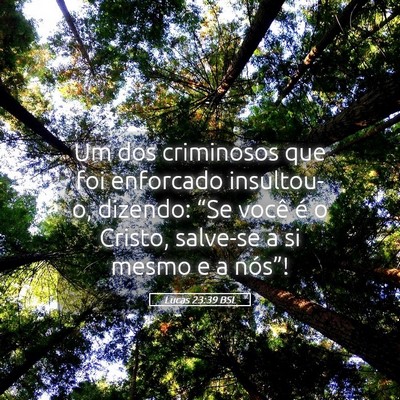 Picture 05 - Lucas 23:39 BSL - Um dos criminosos que foi enforcado insultou-o, - Bible Verse Picture