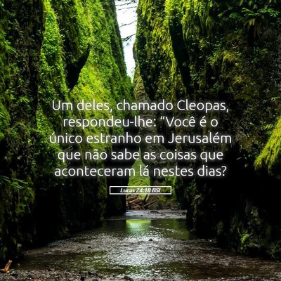 Picture 05 - Lucas 24:18 BSL - Um deles, chamado Cleopas, respondeu-lhe: - Bible Verse Picture