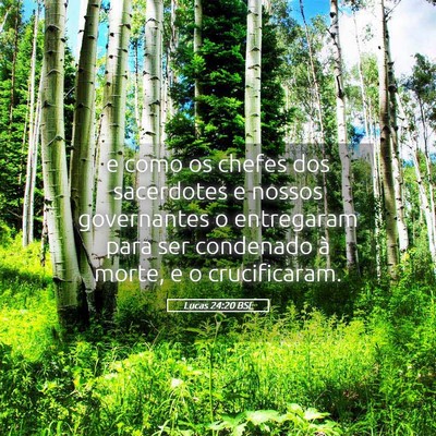 Picture 05 - Lucas 24:20 BSL - e como os chefes dos sacerdotes e nossos - Bible Verse Picture