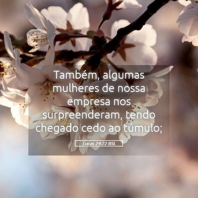 Picture 05 - Lucas 24:22 BSL - Também, algumas mulheres de nossa empresa nos - Bible Verse Picture