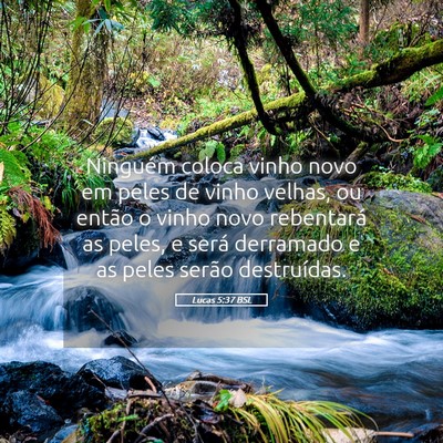 Picture 05 - Lucas 5:37 BSL - Ninguém coloca vinho novo em peles de vinho - Bible Verse Picture