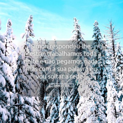 Picture 05 - Lucas 5:5 BSL - Simon respondeu-lhe: “Mestre, trabalhamos toda - Bible Verse Picture