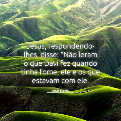 Picture 05 - Lucas 6:3 BSL - Jesus, respondendo-lhes, disse: “Não leram o - Bible Verse Picture