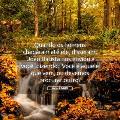 Picture 05 - Lucas 7:20 BSL - Quando os homens chegaram até ele, disseram: - Bible Verse Picture