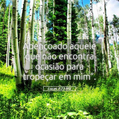 Picture 05 - Lucas 7:23 BSL - Abençoado aquele que não encontra ocasião para - Bible Verse Picture