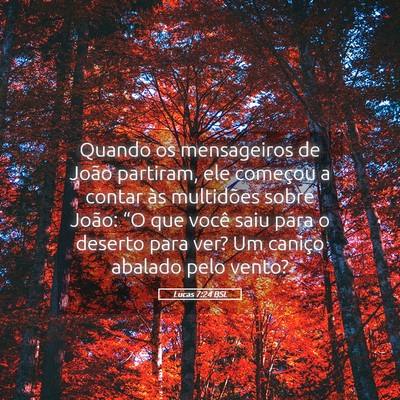 Picture 05 - Lucas 7:24 BSL - Quando os mensageiros de João partiram, ele - Bible Verse Picture