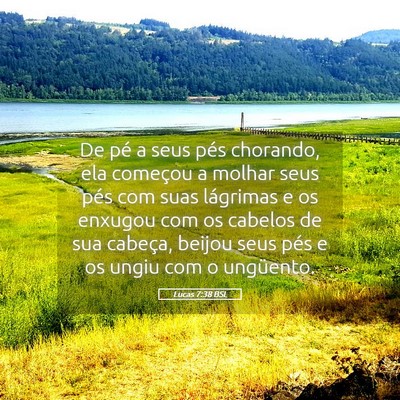 Picture 05 - Lucas 7:38 BSL - De pé a seus pés chorando, ela começou a - Bible Verse Picture