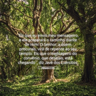 Picture 05 - Malaquias 3:1 BSL - “Eis que eu envio meu mensageiro, e ele - Bible Verse Picture