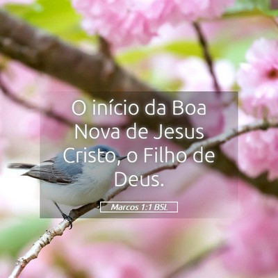 Picture 05 - Marcos 1:1 BSL - O início da Boa Nova de Jesus Cristo, o Filho de - Bible Verse Picture