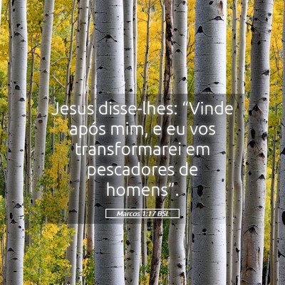 Picture 05 - Marcos 1:17 BSL - Jesus disse-lhes: “Vinde após mim, e eu vos - Bible Verse Picture