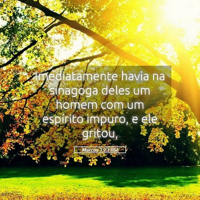Picture 05 - Marcos 1:23 BSL - Imediatamente havia na sinagoga deles um homem - Bible Verse Picture