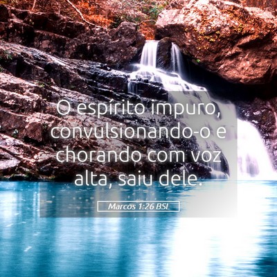 Picture 05 - Marcos 1:26 BSL - O espírito impuro, convulsionando-o e chorando - Bible Verse Picture