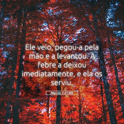 Picture 05 - Marcos 1:31 BSL - Ele veio, pegou-a pela mão e a levantou. A febre - Bible Verse Picture