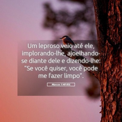 Picture 05 - Marcos 1:40 BSL - Um leproso veio até ele, implorando-lhe, - Bible Verse Picture