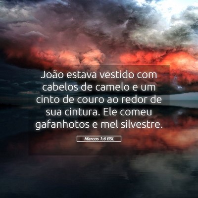 Picture 05 - Marcos 1:6 BSL - João estava vestido com cabelos de camelo e um - Bible Verse Picture