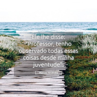 Picture 05 - Marcos 10:20 BSL - Ele lhe disse: “Professor, tenho observado - Bible Verse Picture