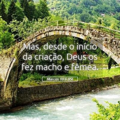 Picture 05 - Marcos 10:6 BSL - Mas, desde o início da criação, Deus os fez - Bible Verse Picture