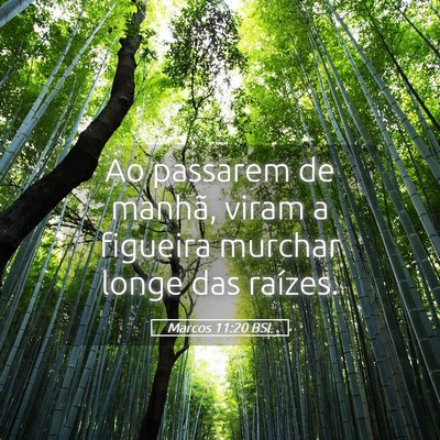 Picture 05 - Marcos 11:20 BSL - Ao passarem de manhã, viram a figueira murchar - Bible Verse Picture