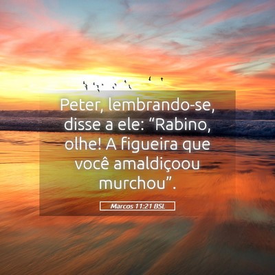 Picture 05 - Marcos 11:21 BSL - Peter, lembrando-se, disse a ele: “Rabino, - Bible Verse Picture
