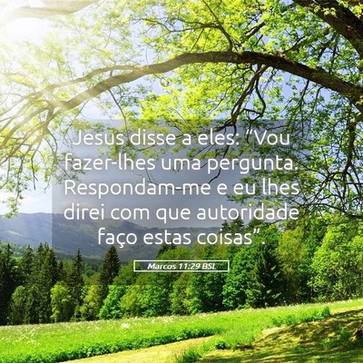 Picture 05 - Marcos 11:29 BSL - Jesus disse a eles: “Vou fazer-lhes uma - Bible Verse Picture