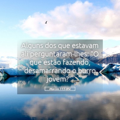 Picture 05 - Marcos 11:5 BSL - Alguns dos que estavam ali perguntaram-lhes: “O - Bible Verse Picture