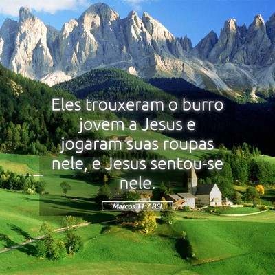 Picture 05 - Marcos 11:7 BSL - Eles trouxeram o burro jovem a Jesus e jogaram - Bible Verse Picture
