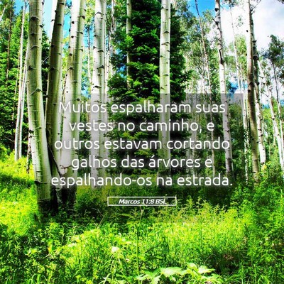 Picture 05 - Marcos 11:8 BSL - Muitos espalharam suas vestes no caminho, e - Bible Verse Picture