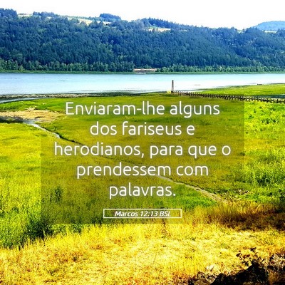 Picture 05 - Marcos 12:13 BSL - Enviaram-lhe alguns dos fariseus e herodianos, - Bible Verse Picture