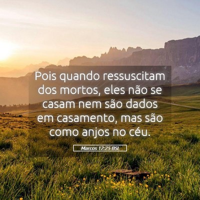Picture 05 - Marcos 12:25 BSL - Pois quando ressuscitam dos mortos, eles não se - Bible Verse Picture
