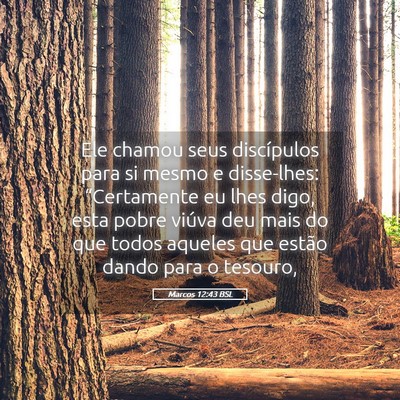 Picture 05 - Marcos 12:43 BSL - Ele chamou seus discípulos para si mesmo e - Bible Verse Picture