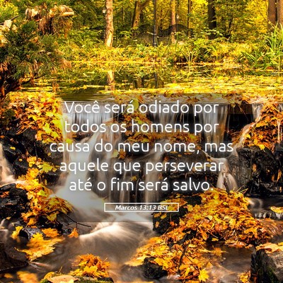 Picture 05 - Marcos 13:13 BSL - Você será odiado por todos os homens por causa - Bible Verse Picture