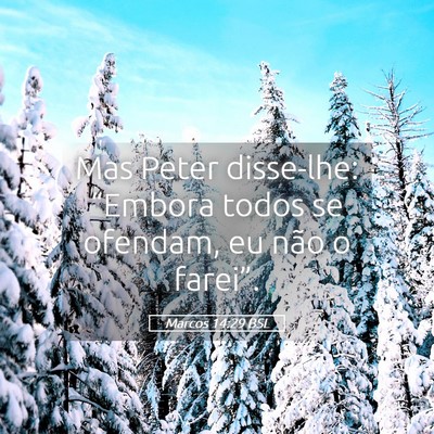 Picture 05 - Marcos 14:29 BSL - Mas Peter disse-lhe: “Embora todos se ofendam, - Bible Verse Picture