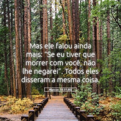 Picture 05 - Marcos 14:31 BSL - Mas ele falou ainda mais: “Se eu tiver que - Bible Verse Picture