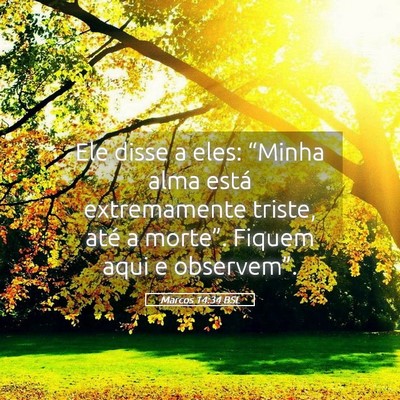 Picture 05 - Marcos 14:34 BSL - Ele disse a eles: “Minha alma está - Bible Verse Picture