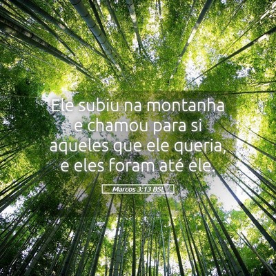 Picture 05 - Marcos 3:13 BSL - Ele subiu na montanha e chamou para si aqueles - Bible Verse Picture
