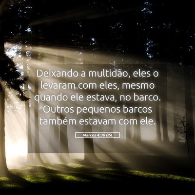 Picture 05 - Marcos 4:36 BSL - Deixando a multidão, eles o levaram com eles, - Bible Verse Picture