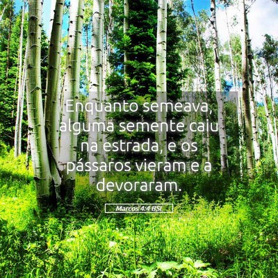 Picture 05 - Marcos 4:4 BSL - Enquanto semeava, alguma semente caiu na estrada, - Bible Verse Picture