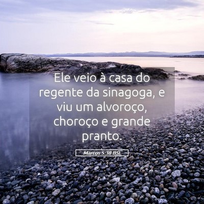 Picture 05 - Marcos 5:38 BSL - Ele veio à casa do regente da sinagoga, e viu um - Bible Verse Picture