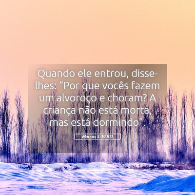 Picture 05 - Marcos 5:39 BSL - Quando ele entrou, disse-lhes: “Por que vocês - Bible Verse Picture