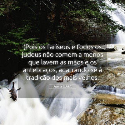 Picture 05 - Marcos 7:3 BSL - (Pois os fariseus e todos os judeus não comem a - Bible Verse Picture